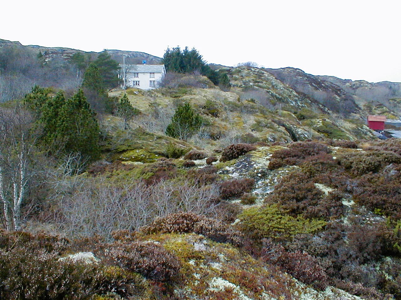 Bygning 7